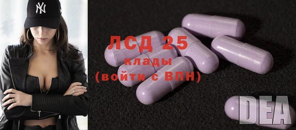 spice Аркадак